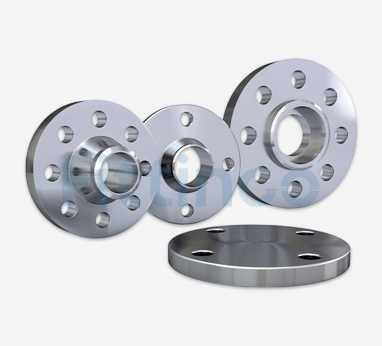 Ansi Flanges