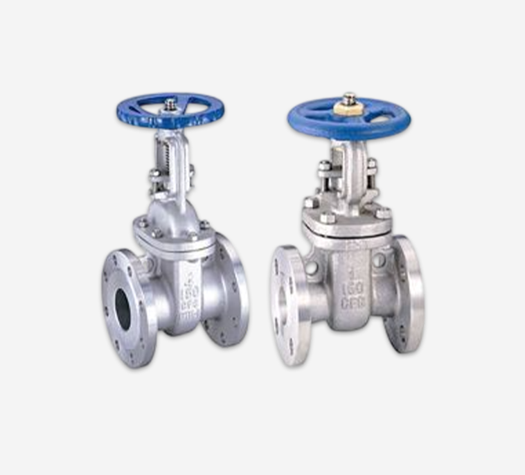 Valves And Flanges